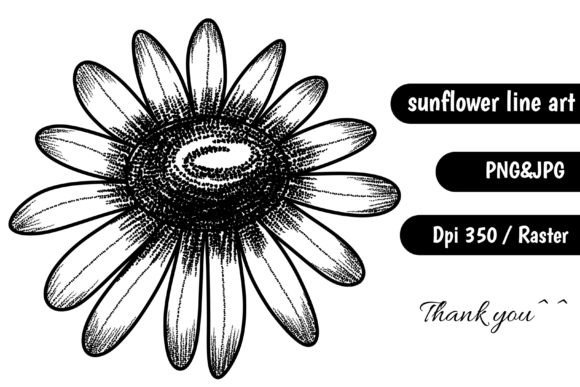 Aesthetic Sunflower Line Art